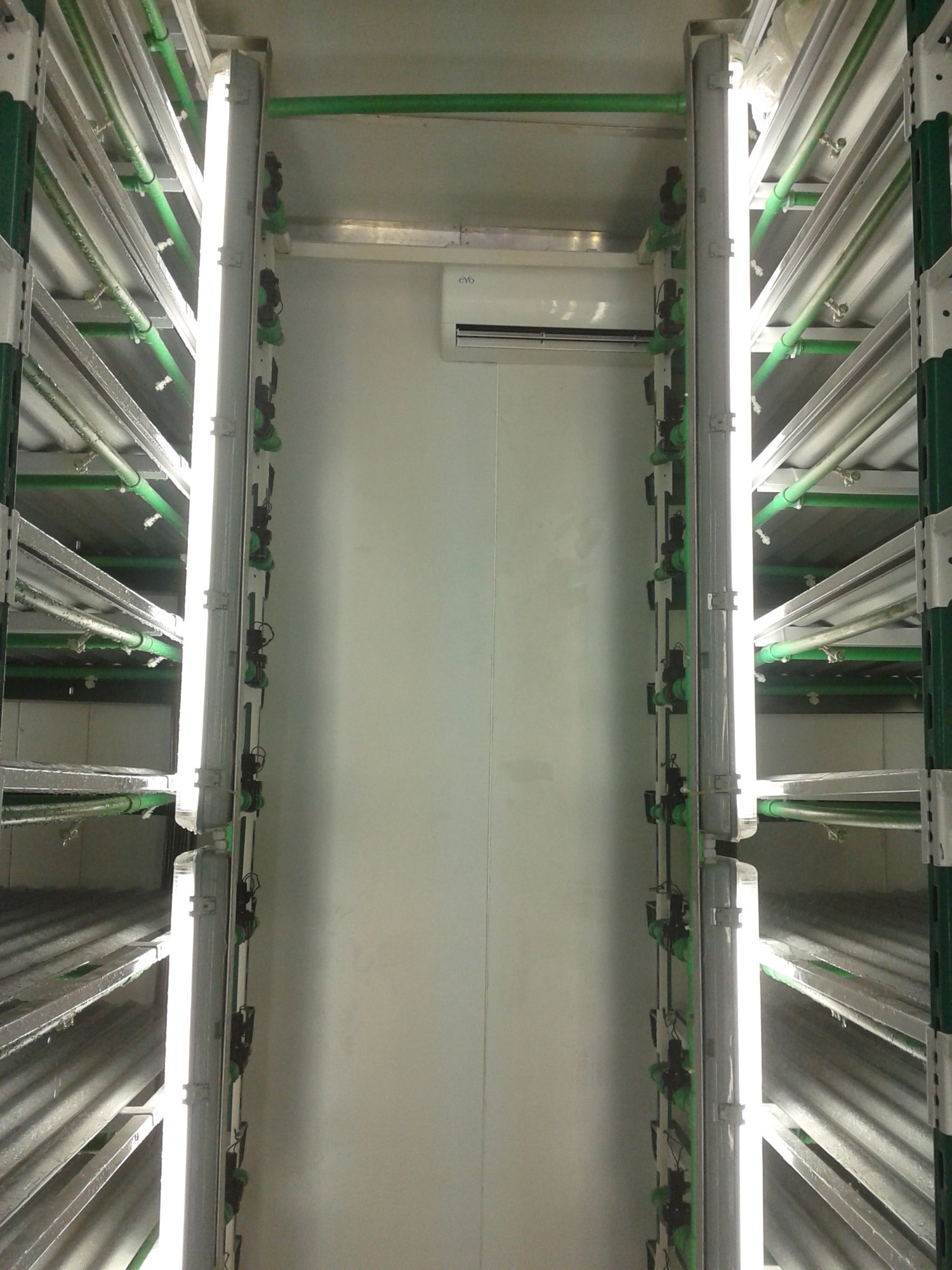 Aeroponic piping and racking